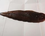 舌平目(したびらめ)の下処理作り方1写真