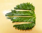 もやしでかさ増し！大葉鶏つくねの照り焼き作り方3写真