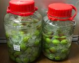 梅酒2018作り方8写真
