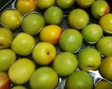 梅干し作り方6写真