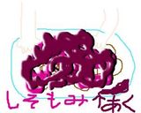 梅干し作り方13写真
