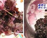 梅干し作り方14写真