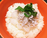 しらすと大根おろしのさっぱり丼☆作り方4写真