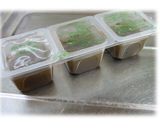 簡単☆味付けもずくをそのままスープに♪作り方1写真