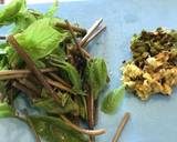 白味味噌風味コシアブラと蕗の薹で山菜ピザ作り方2写真