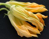 基本の花ズッキーニフリット作り方3写真