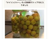 ✨メイソンジャーで小梅の梅酒✨作り方13写真