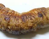 チャーシュー　シャトルシェフ活用。作り方2写真
