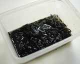 レンジで簡単！ひじきの下処理作り方3写真