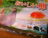簡単カルボナーラ作り方5写真