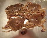 ヒラツメガニの塩茹で作り方1写真