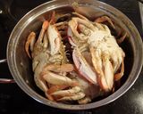 ヒラツメガニの塩茹で作り方4写真
