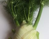 フェンネルのサラダ作り方1写真