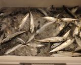 小魚大量消費はアヒージョで♪　＊超簡単＊作り方1写真