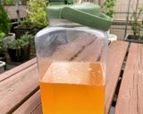 【梅仕事】基本の自家製梅シロップ作り方7写真