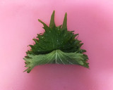 キンと冷やして♪茄子とみょうがの素麺つゆ作り方4写真