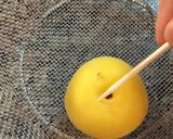梅シロップ作り方5写真