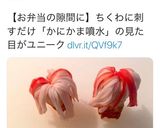 ✨お弁当に_φ(・_・カニカマ噴水✨作り方9写真