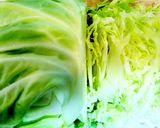 塩酒粕で♪失敗しない乳酸キャベツ作り方1写真