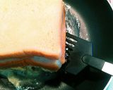 休日朝ごぱん☺クロックムッシュ風♥作り方6写真