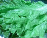 鯖缶でチシャなます作り方1写真