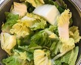 白菜の浅漬け作り方1写真