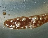 フライパンで！焦がし醤油のしいたけチーズ作り方3写真