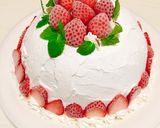 ２層のアイスケーキ♡市販アイスで簡単♪作り方19写真
