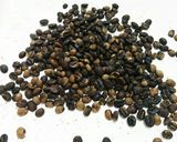 コーヒーチェリーから水だしコーヒー。作り方12写真
