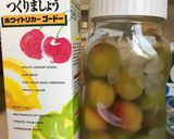 早く飲める冷凍梅のはちみつ梅酒作り方4写真