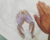 手軽に美味しく！カエル肉の唐揚げ☀作り方3写真