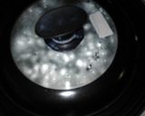 簡単❀タラの玉ねぎポン酢ソース❀お肉にも作り方4写真