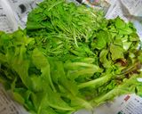 【夏の新定番】あっさりマロニー冷やし中華作り方1写真