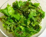 【夏の新定番】あっさりマロニー冷やし中華作り方9写真