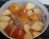 鳥ももとオニオンの煮込み作り方2写真
