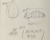 本格的！ チキンライスの作り方作り方2写真