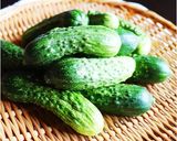 もぎりっこ胡瓜のさっぱり浅漬作り方1写真