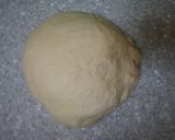 昼作って夜焼いて！ヘルシーHBで簡単ナン作り方2写真