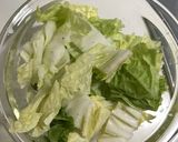 レンチン★白菜とツナの中華和え作り方1写真