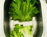リーフレタス活用作り方3写真