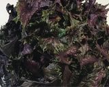 簡単‼紫蘇ジュース作り方1写真