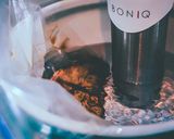 61℃ 老化予防◎ブリのごまニラ醤油がけ作り方12写真