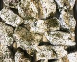 ぶりのにんにく磯部揚げ作り方8写真