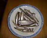 釣り魚料理☆ワカサギの天ぷら作り方1写真