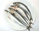 魚いわしのさばき方♪簡単手びらき作り方1写真