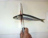 魚いわしのさばき方♪簡単手びらき作り方2写真
