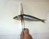 魚いわしのさばき方♪簡単手びらき作り方2写真
