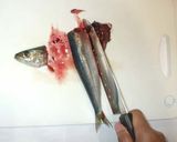 魚いわしのさばき方♪簡単手びらき作り方3写真