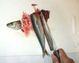 魚いわしのさばき方♪簡単手びらき作り方3写真