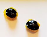 黒豆でホタル作り方3写真